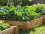 Raised planting bed