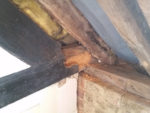 Structural Timber Repairs