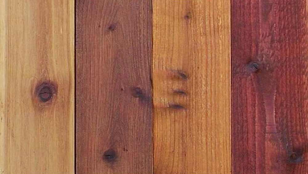 Different Types of Varnish and Wood Stain and how to use 