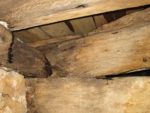 Timber Decay and Repair