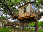 Building a Tree House