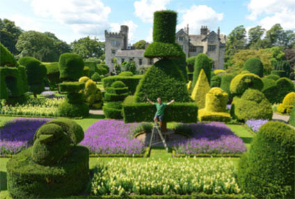 Trimmed and shaped hedges