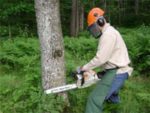 Using a chainsaw safely