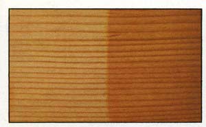 Douglas Fir