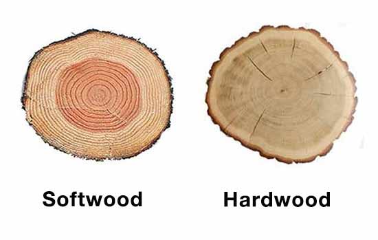 Hardwood and softwood comparison