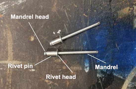 Parts of a rivet