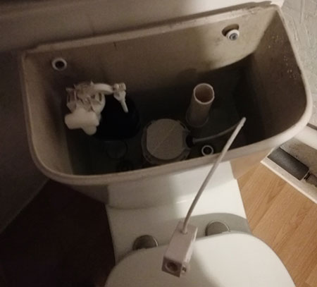 Remove cistern lid and disconnect flush