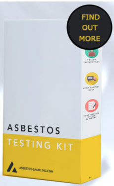 Asbestos testing kit