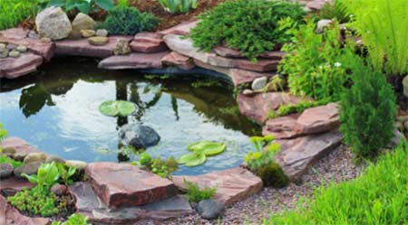 Avoid Leaves in Garden Ponds