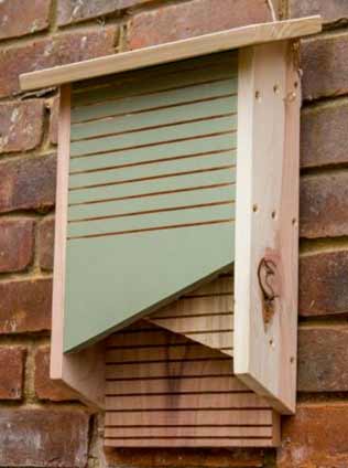How to Build a Bat Box Including Full Plans and Dimensions ...