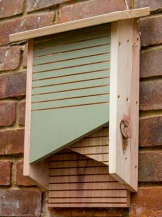 Bat box with bat ladder