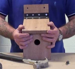 Holes drilled in back of bird box for hanging on tree