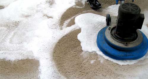 Shampoo cleaning a carpet