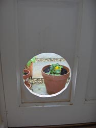 Hole in Door