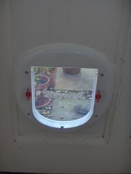 Cat flap fitted