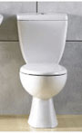 Close Coupled toilet