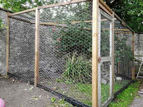 Completed chicken run