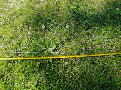Cutting chicken wire to size
