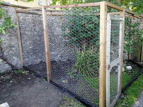 Gradually fix chicken wire in place with fence staples