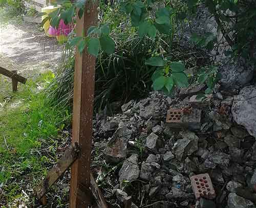 Stones and bushes for chickens