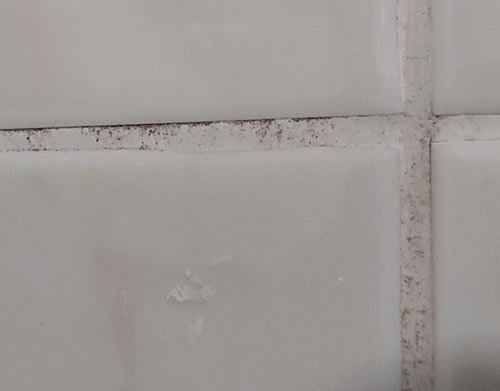 Mouldy grout joints that need to be cleaned or replaced