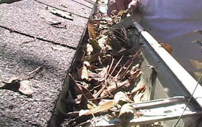 Gutter blocked with leaves