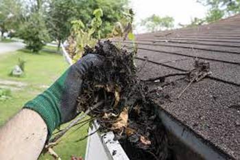 Scooping leaf matter out of gutter by hand