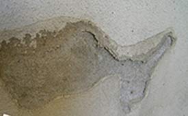 Salt deposits caused by damp can blow the plaster in your wall