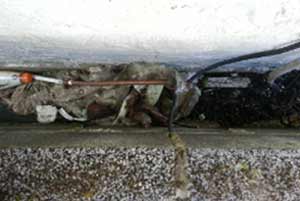 Check that there is no debris in your cavity bridging your damp proof course