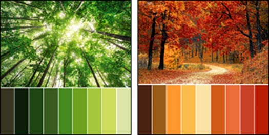 Pallet and colour schemes for different rooms