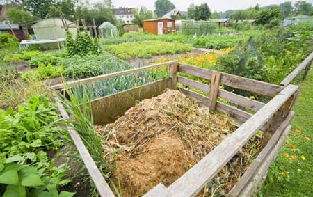 Well established compost heap