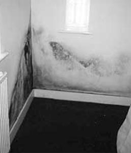 Black mould on external walls caused by condensation