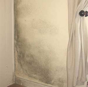 Condensation has caused wallpaper to peel off this wall and mildew to grow causing discolouration