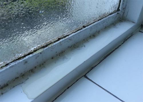 Condensation running off window and on to ledge