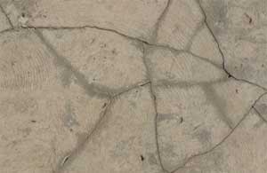 Cracked and broken concrete floor