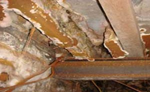 Dry rot present on timber joists
