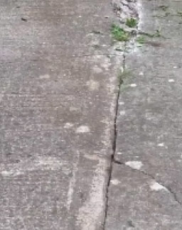 Cracks in concrete path