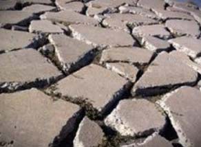 Crazy paving used as a path repair