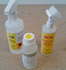 Remove the mould from your wall using mould cleaner