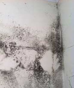 Poor ventilation can encourage black mould growth