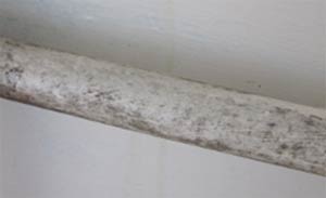 Condensation can cause mould to form on your pipes