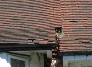 Inspect your roof for missing and broken tiles