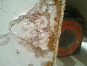 Salts can blow plaster off your walls