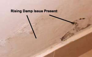 Rising Damp Evident Just Above Skirting Board