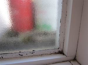 Draught proof your windows and doors to reduce condensation