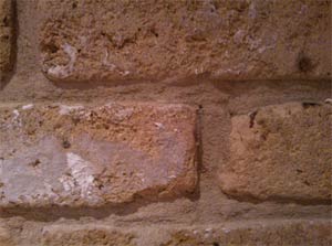 Remove one or two bricks from your wall to examine the cavity for debris