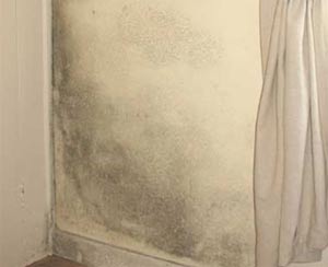 Damp encourages mould growth which can harm your health