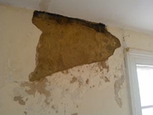 If you have salts present in your walls you will need to strip the plaster off