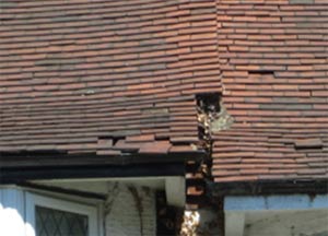 Replace any broken or missing roof tiles as these may be causing your damp