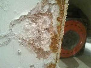 Damp can wash salt crystals out of your walls and deposit them on the surface